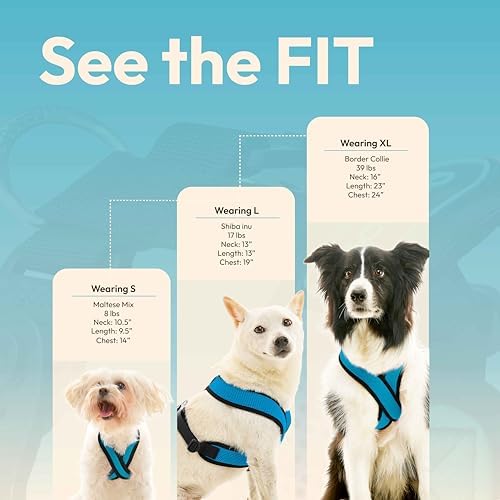 Gooby non-pull small breed dog vest harness secure fit presentation