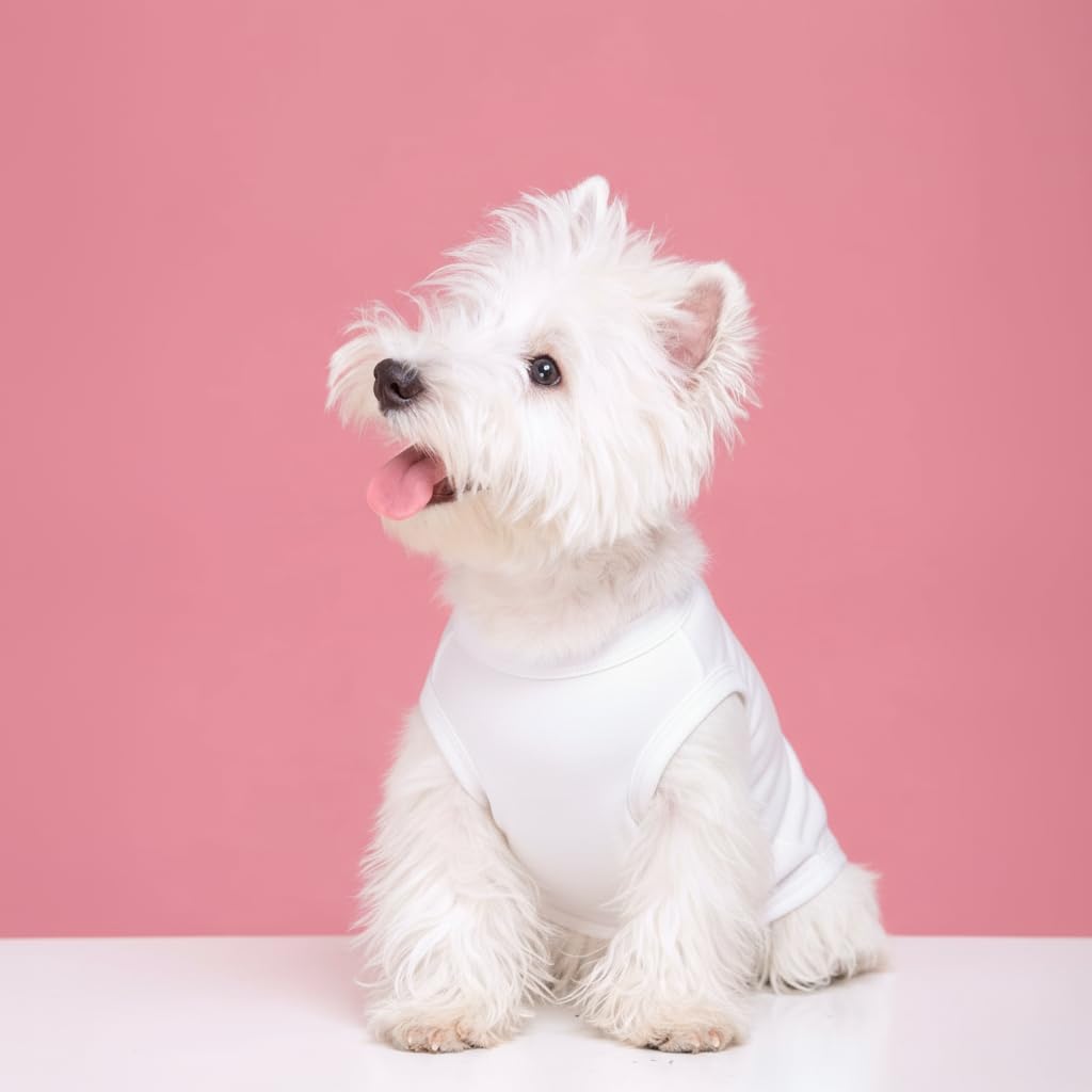 Close up of Chol&Vivi dog shirt fabric quality