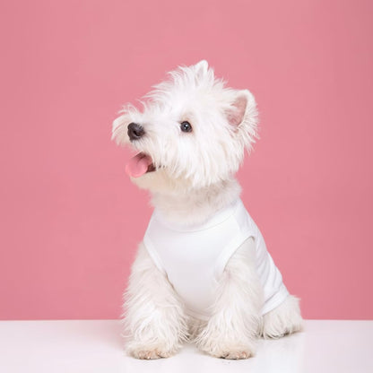 Close up of Chol&Vivi dog shirt fabric quality