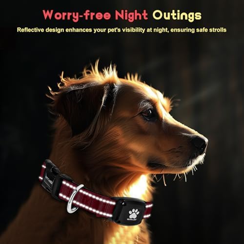 Waterproof IP68 certified Myiwb dog tracking collar being tested in wet conditions