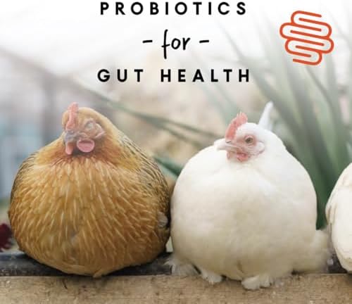 Manna Pro sixteen percent protein chicken food label