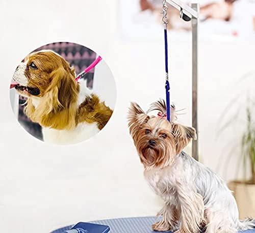 Dog safety tether loop with snap hook attachment