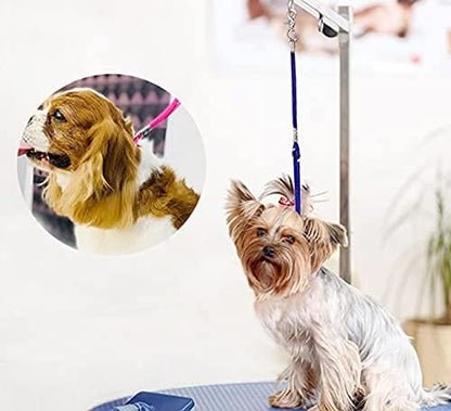 Dog safety tether loop with snap hook attachment