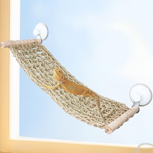 Bearded dragon resting on a hand-woven seagrass hammock
