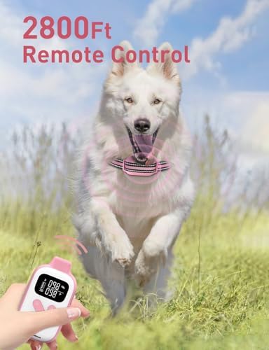 Rechargeable shock-free pet collar showing Type-C charging port and waterproof sealing
