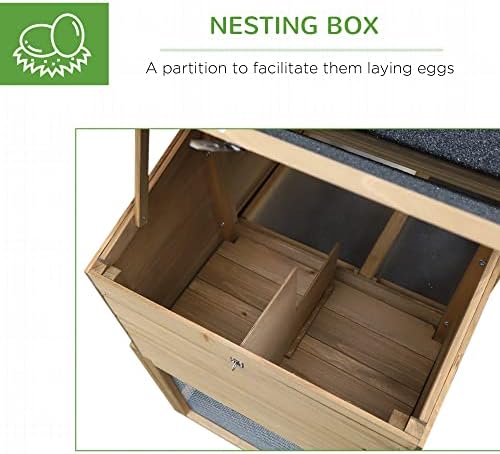 PawHut outdoor chicken enclosure interior ramp and resting perch view