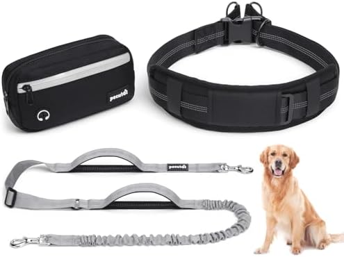 Pecute running waist belt leash with shock absorbing bungee extension