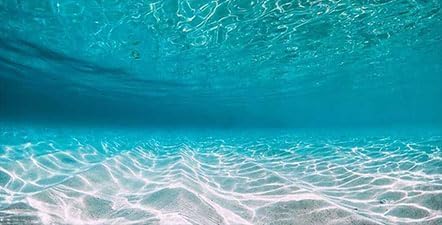 Dtekoj natural undersea aquarium background front view tropical beach scene