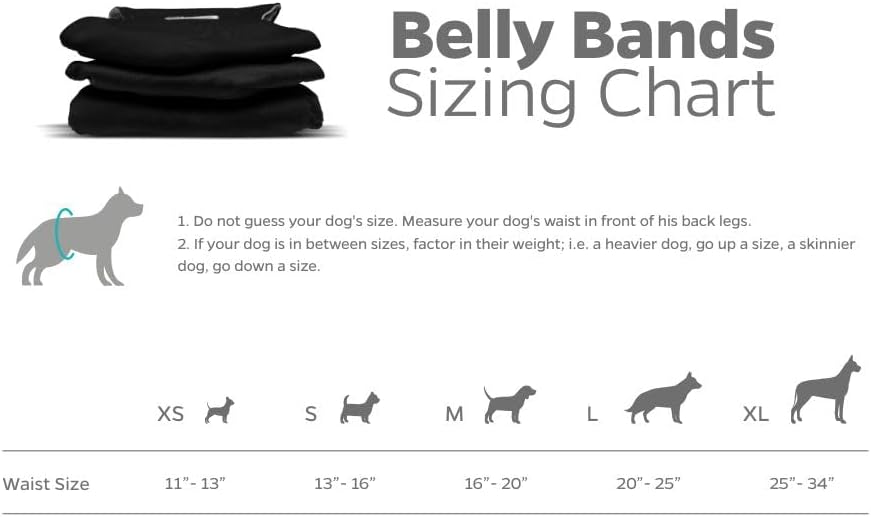 Waterproof outer shell testing showing leakproof protection of Pet Parents dog wraps