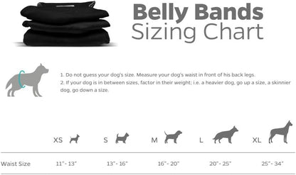 Waterproof outer shell testing showing leakproof protection of Pet Parents dog wraps
