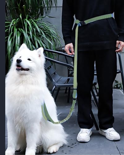 Kubemueg dog leash with car seatbelt buckle