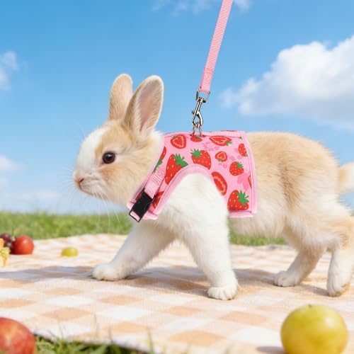 Folded and compact PUPTECK travel-ready ferret and kitten vest showing its lightweight design.