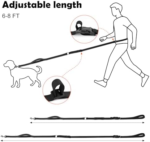 XiaZ premium imported hands free dog running leash in use