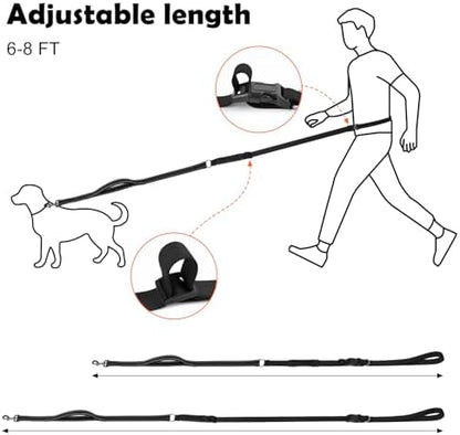 XiaZ premium imported hands free dog running leash in use