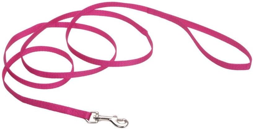 Coastal Pet nylon dog lead packaged for retail