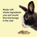 Close-up view of Kaytee rabbit food timothy hay pellets and botanical pieces