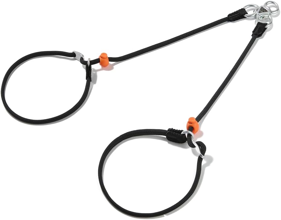 Howgo Double Slip Leash Slip Lead with Two Handles| Dual Dog Slip Lead for 2 Dogs,360 degrees Swivel No Tangle | Dog Training Collar | Double Clip Leash Coupler and Splitter (Multicolor, 6FT) - Image 11