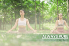 Pure Original Ingredients Horsetail Extract bottle layout with brand logo