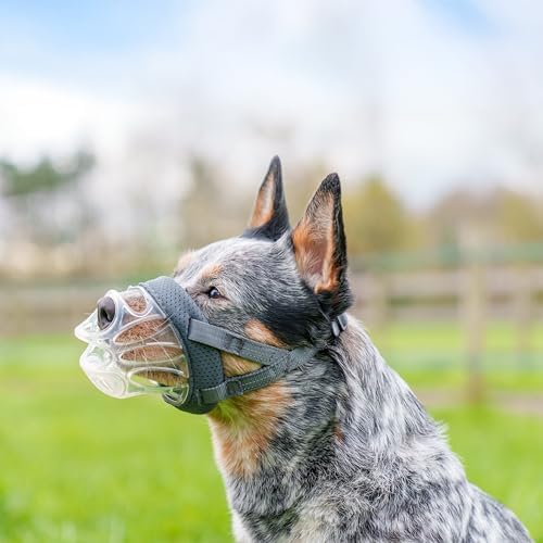 Side profile of Baskerville Invisa dog muzzle