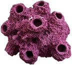 Ocean Aquaria imported purple barnacle frag rock showing realistic giant Pacific barnacle shape