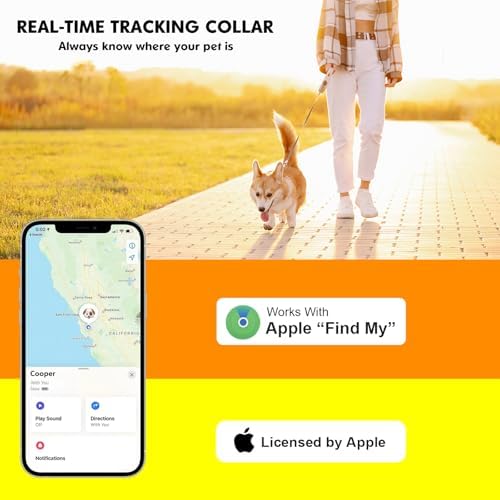 Bomerahe real time location pet tracker collar shown lifestyle view