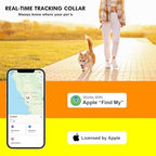 Bomerahe real time location pet tracker collar shown lifestyle view