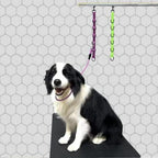 Professional pet grooming table arm extender accessory