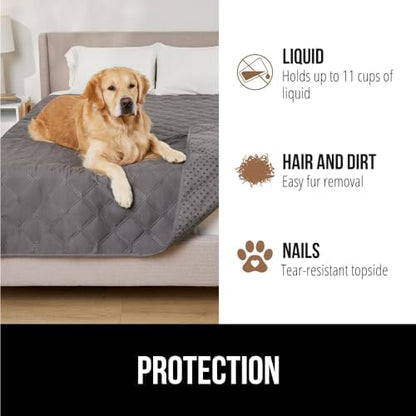 A small dog resting comfortably on the tear resistant charcoal quilted pet blanket.