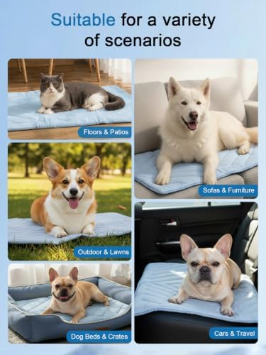 Machine washable blue rectangle cooling pad for medium dogs and cats spread out on a sofa.
