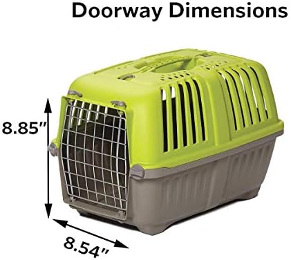 MidWest Spree plastic pet travel crate showing the built-in top carrying handle