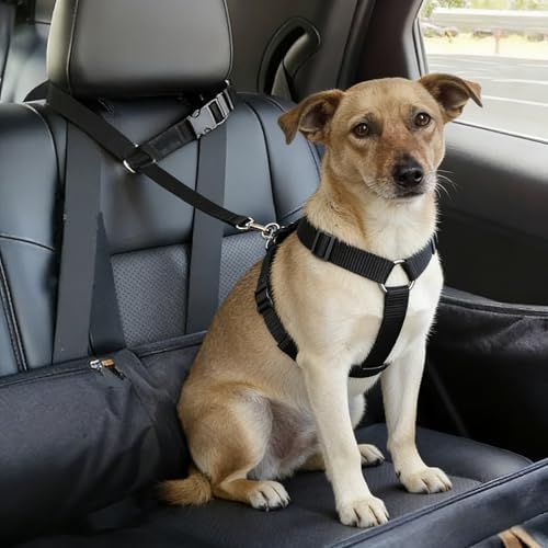 Generic pet car seat belt front view in black
