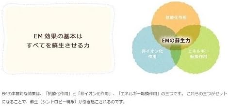 Authentic EM Life EM X Gold health drink