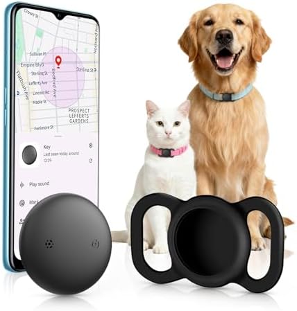 Vebiso smart pet activity tracker attached to a dog collar worn by a golden retriever.
