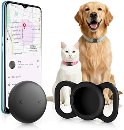 Vebiso smart pet activity tracker attached to a dog collar worn by a golden retriever.
