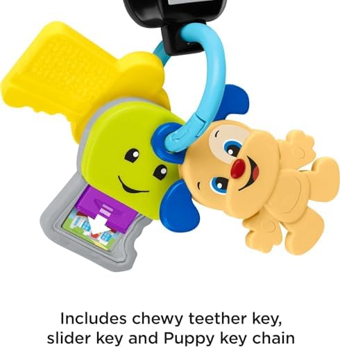 The two plastic pretend vehicle keys and soft fabric puppy tag on the Fisher-Price learning set.