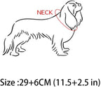 RayMinsino adjustable cat dog necklace jewelry showing the silver-toned extender chain clasp.