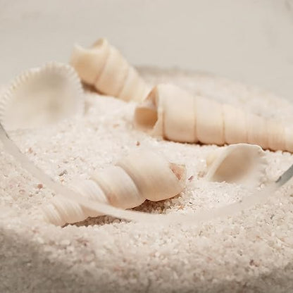 Educational shot showing silica sand grain size