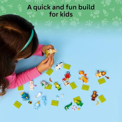 Authentic packaging artwork for the 66813 multi pack building toy set.