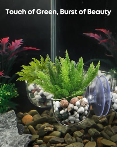 Pawfly clear aquatic plant holder highlighting the permeable water circulation holes at the base.