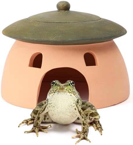Frog and Toad House 8 x 6Inch Toad House for Outside Garden Reptile Cave Red Pottery Ceramics Small Reptile Cave Hide Reptile Hides and Caves Snake Toad Frog Turtle House Green with Lid - Image 2