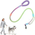 EffiBrill wearable dog leash with padded waist belt