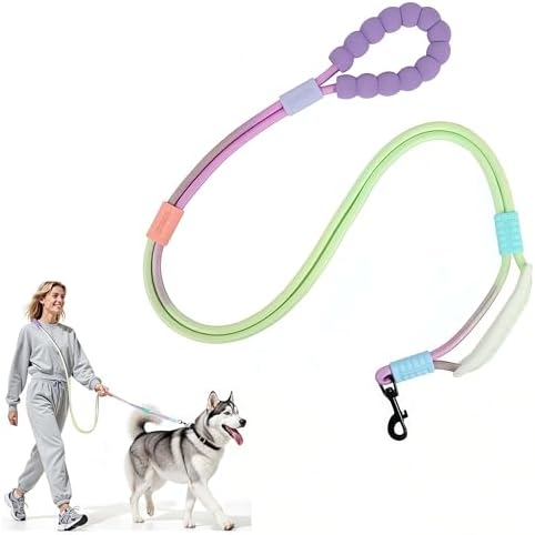 EffiBrill wearable dog leash with padded waist belt