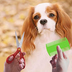 4 Pcs Lice Combs, Flea Combs, Double Sided Headlice Combs, Headlice Treatment for Dogs, Cats (White) - Image 7