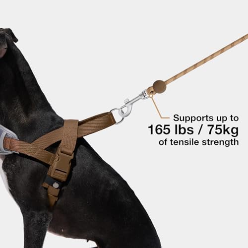 Vetreska five feet climbing grade rope dog lead for small medium dogs