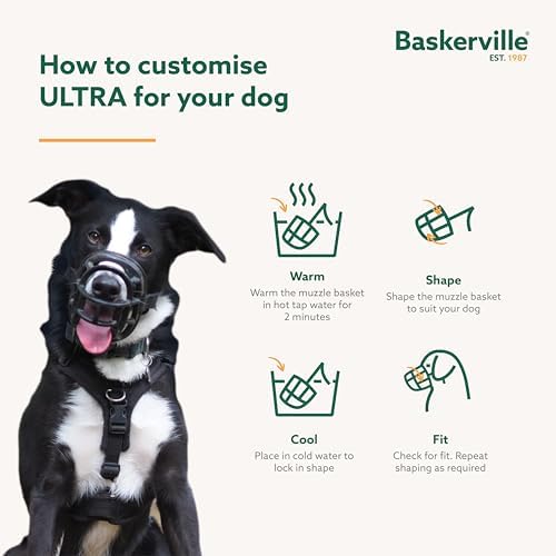 Baskerville Ultra Dog Muzzle top angle view