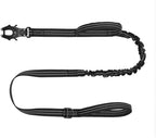 Icefang dog leash heavy duty metal clasp detail