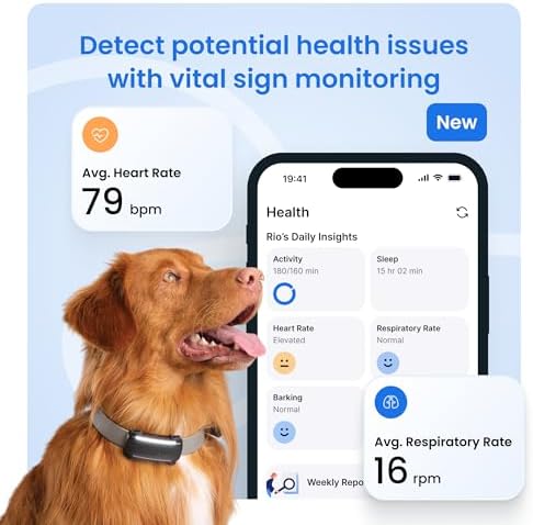 Tractive health monitoring dashboard on smartphone screen