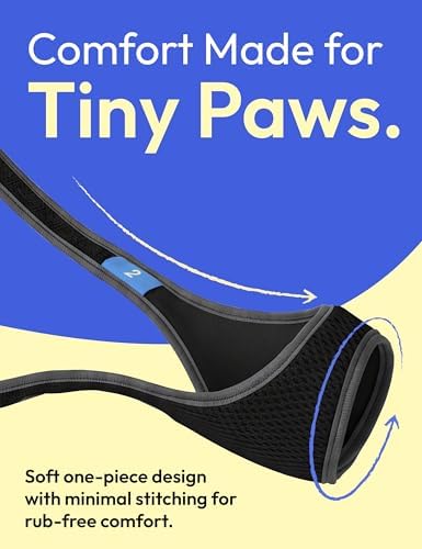 Side view of TinyRex small dog muzzle on pet