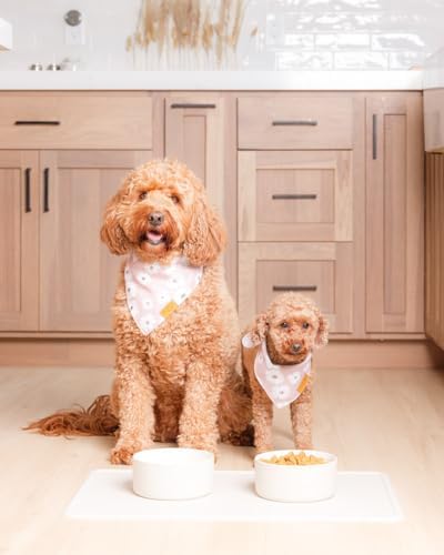 Remy And Roo Stone Silicone Dog Food Mat raised edge detail