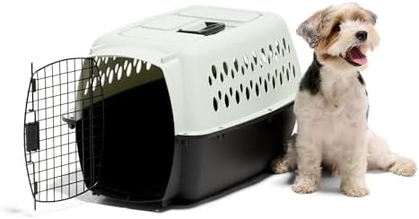 Petmate travel pet crate in pale aqua and black showing the heavy duty hardware and easy tool free assembly setup.